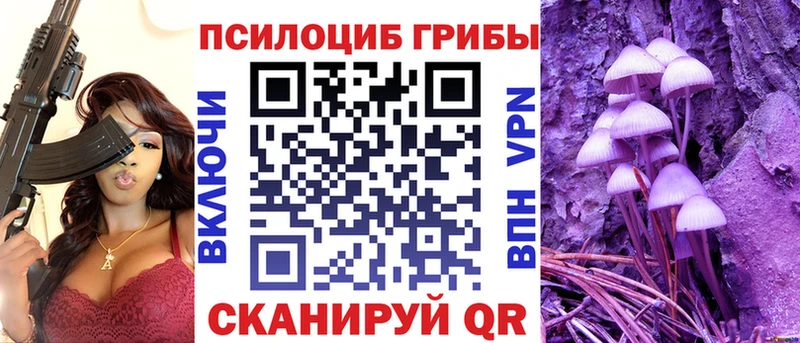 Галлюциногенные грибы MAGIC MUSHROOMS  купить наркотики сайты  Южа 