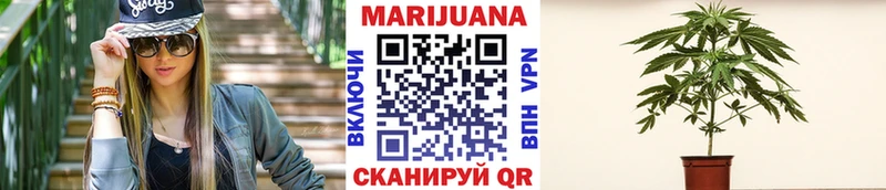 Шишки марихуана THC 21%  Южа 